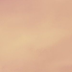 sorry for the interruption